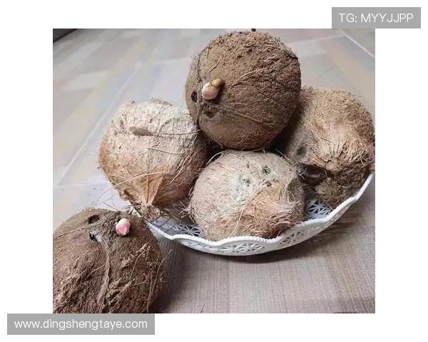 头号种子与三号种子的巅峰对决谁将赢得最终胜利